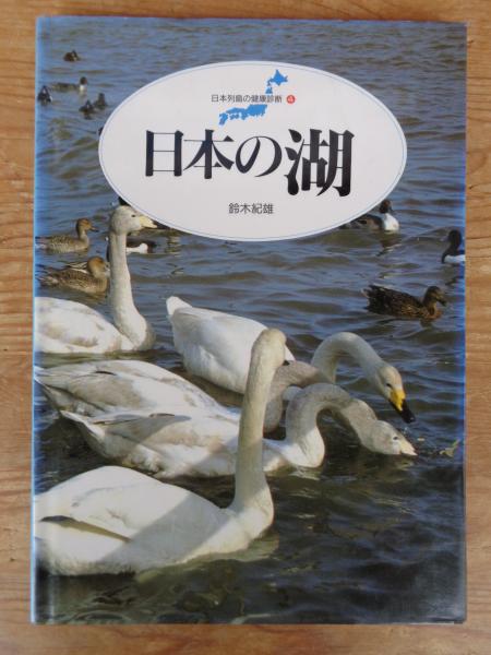 安田成美 : 「真夏姫」(山岸伸 撮影) / がらんどう / 古本、中古