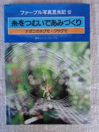 糸をつむいであみづくり : ナガコガネグモ・クサグモ