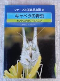 キャベツの青虫 : モンシロチョウ・ミノムシ