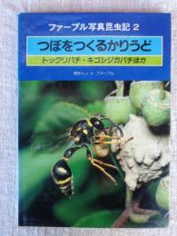 つぼをつくるかりうど : トックリバチ・キゴシジガバチほか