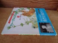 ファーブル昆虫記の虫たち