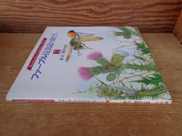 ファーブル昆虫記の虫たち (5) (KumadaChikabo's World) | 熊田