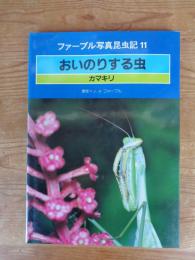 おいのりする虫 : カマキリ