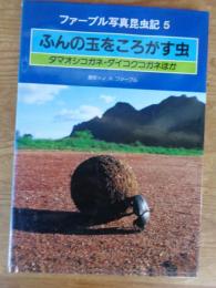 ふんの玉をころがす虫 : タマオシコガネ・ダイコクコガネほか