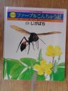 えほん版ファーブルこんちゅう記 9 (じがばち) ＜チャイルド科学絵本館＞