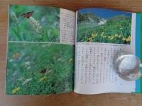 高山チョウのくらし　●科学のアルバム(79)　※著者謹呈署名あり