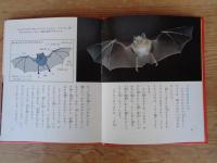 科学のアルバム　(85)　コウモリ　※謹呈署名入り