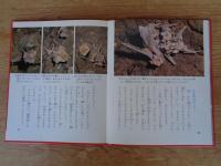 科学のアルバム　(85)　コウモリ　※謹呈署名入り