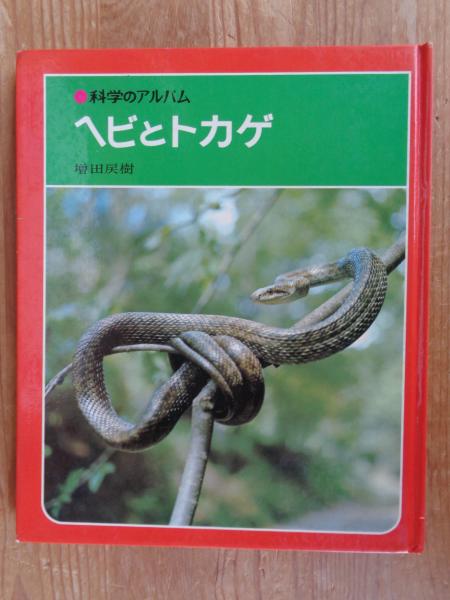 科学アルバム　あかね書房　全73冊 科学アルバム あかね書房 全73冊