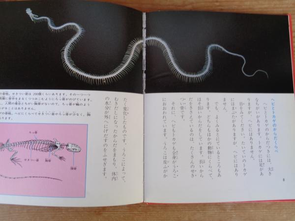 大量【73冊】科学のアルバム 科学のアルバム (73) ヘビとトカゲ ※謹呈署名あり(増田 戻樹【著