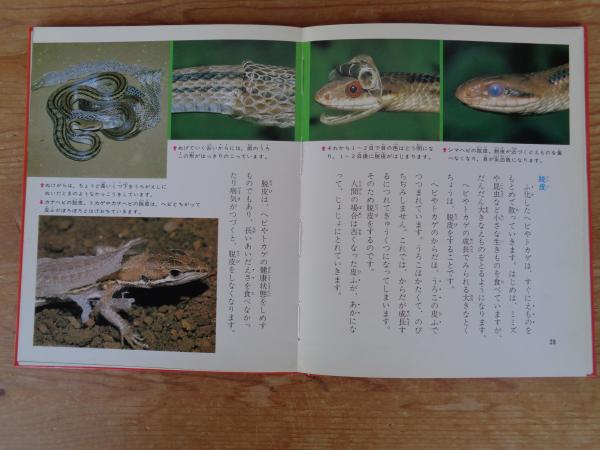 大量【73冊】科学のアルバム 大量【73冊】科学のアルバム あかね書房 科学のアルバム