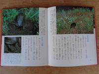 科学のアルバム (90) カメのくらし　※謹呈署名あり