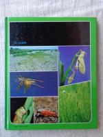 科学のアルバム