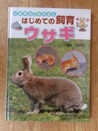 ウサギ