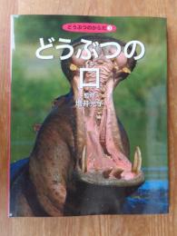 どうぶつの口