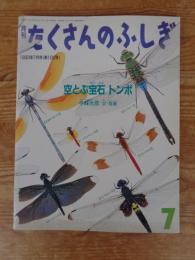 空とぶ宝石トンボ