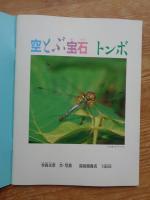 空とぶ宝石トンボ