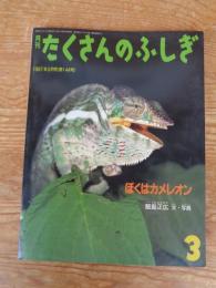 ぼくはカメレオン