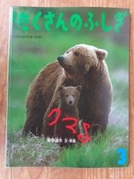 クマよ