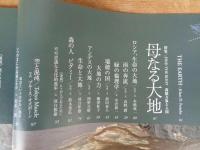 風の旅人　2004年vol.7 (7号)　●特集：母なる大地