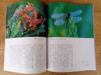 風の旅人 2007年2月(vol.24)　●特集：FIND THE ROOT「世界」と「人間」のあいだ　ROUND of LIFE