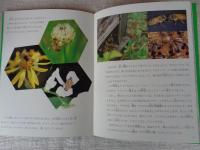 ハチヤさんの旅