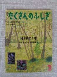 雑木林の1年