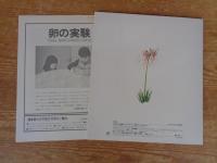 かがくのとも 1977年9月 (109号)　ひがんばな