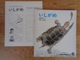 いしがめ