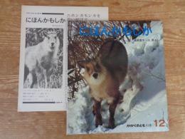 にほんかもしか