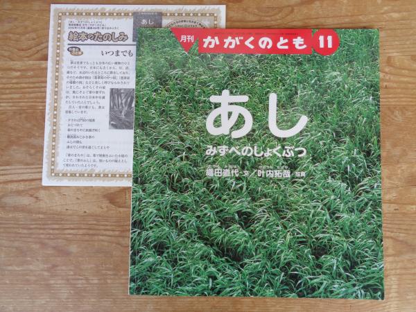 あし : みずべのしょくぶつ(織田道代文 ; 叶内拓哉写真 あし : みずべのしょくぶつ(織田道代文 ; 叶内拓哉写真