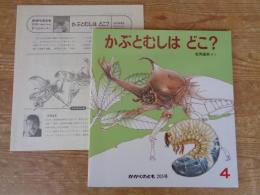 かぶとむしはどこ?　