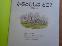 かぶとむしはどこ?　