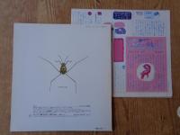 月刊「かがくのとも」1992年7月(通巻280号)　「あめんぼ」