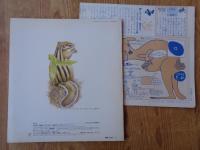 かがくのとも 1992年2月(通巻275号　「 きたのもりの　シマリスくん」 付録「どうぶつタイムス」付