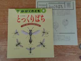 月刊 かがくのとも 1989年9月(通巻246号)　「とっくりばち：どろで す をつくる はちの なかま」　※折り込みふろく付き