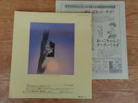 月刊 かがくのとも 1989年9月(通巻246号)　「とっくりばち：どろで す をつくる はちの なかま」　※折り込みふろく付き