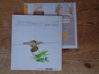 月刊 かがくのとも 1997年3月(通巻336号)　「かたつむり」　※付録「どうぶつタイムス」付