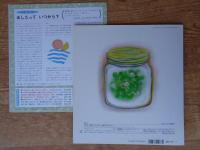 はちみつ　※「折り込みふろく」付