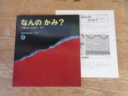 なんのかみ?　※折り込みふろく付き、