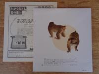 けんか : にほんざるのくらし