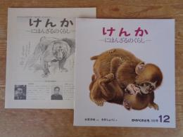 けんか : にほんざるのくらし