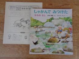 しゃがんでみつけた　かわのむし　