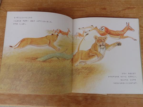 らいおん(金尾恵子 さく ; 増井光子 監修) / 古本、中古本、古書籍の