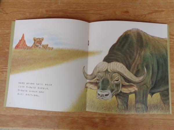 らいおんさん専用ページ らいおん(金尾恵子 さく ; 増井光子 監修) / 古本、中古本、古書籍の