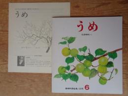 うめ　かがくのとも1979年6月(123号)　折り込みふろく付き、
