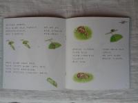 おとしぶみ : ゆりかごをつくるちいさなむし