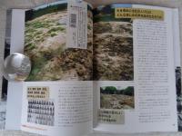 報道カメラマンの課外授業 : いっしょに考えよう、戦争のこと　第4巻 命どぅ宝 戦争はなぜ起こる