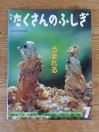 「うまれる」　月刊たくさんのふしぎ　1991年7月号　第76号