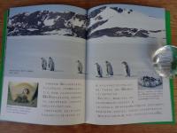 「うまれる」　月刊たくさんのふしぎ　1991年7月号　第76号